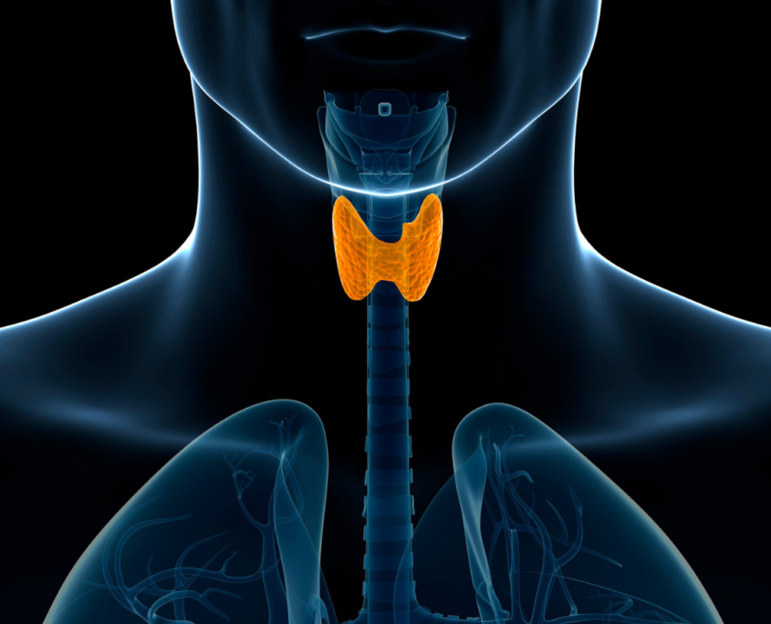 Kilpnäärme alatalitluse märgid, mida ei tasu eirata